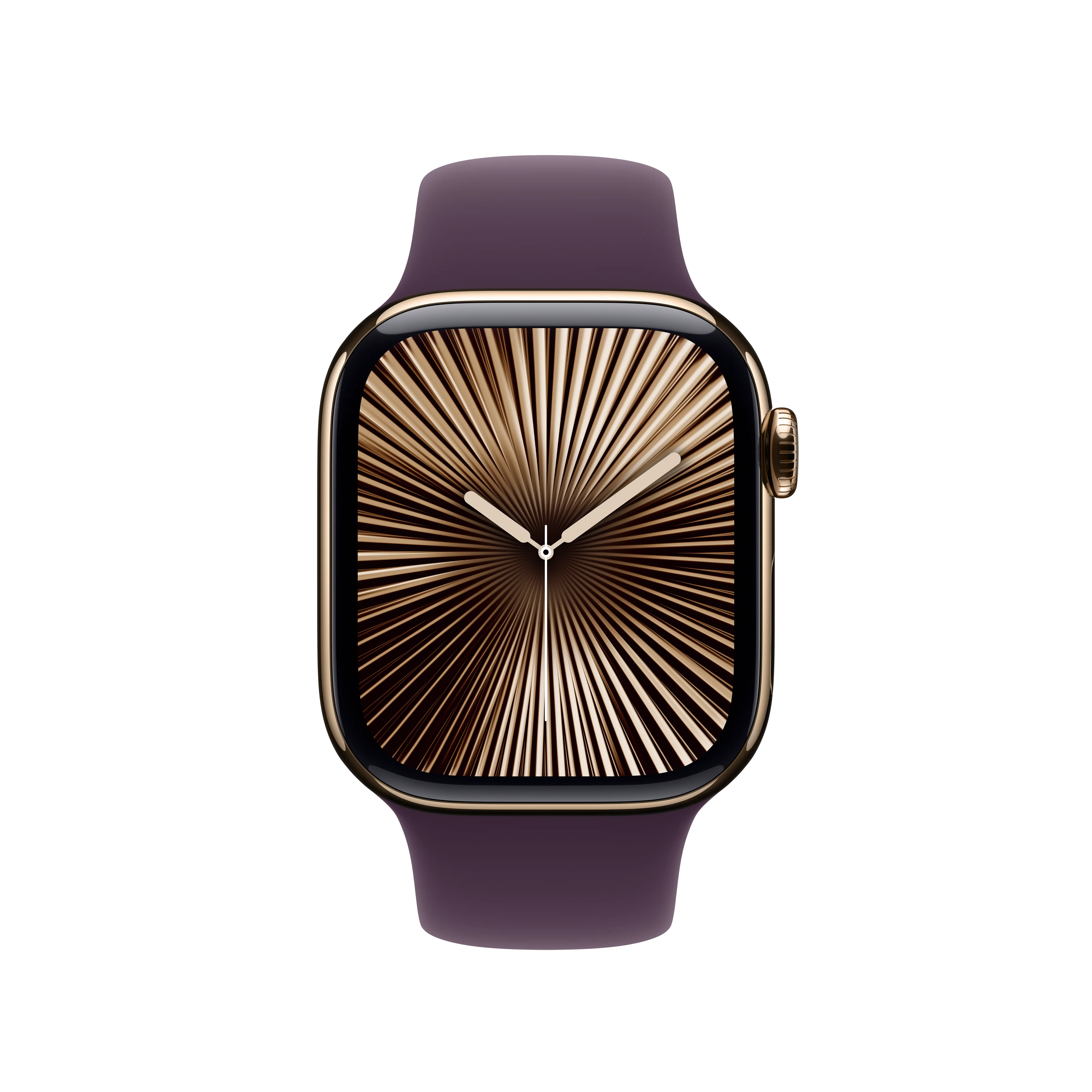 Correa deportiva color ciruela (42 mm) - Talla S/M - Image 3