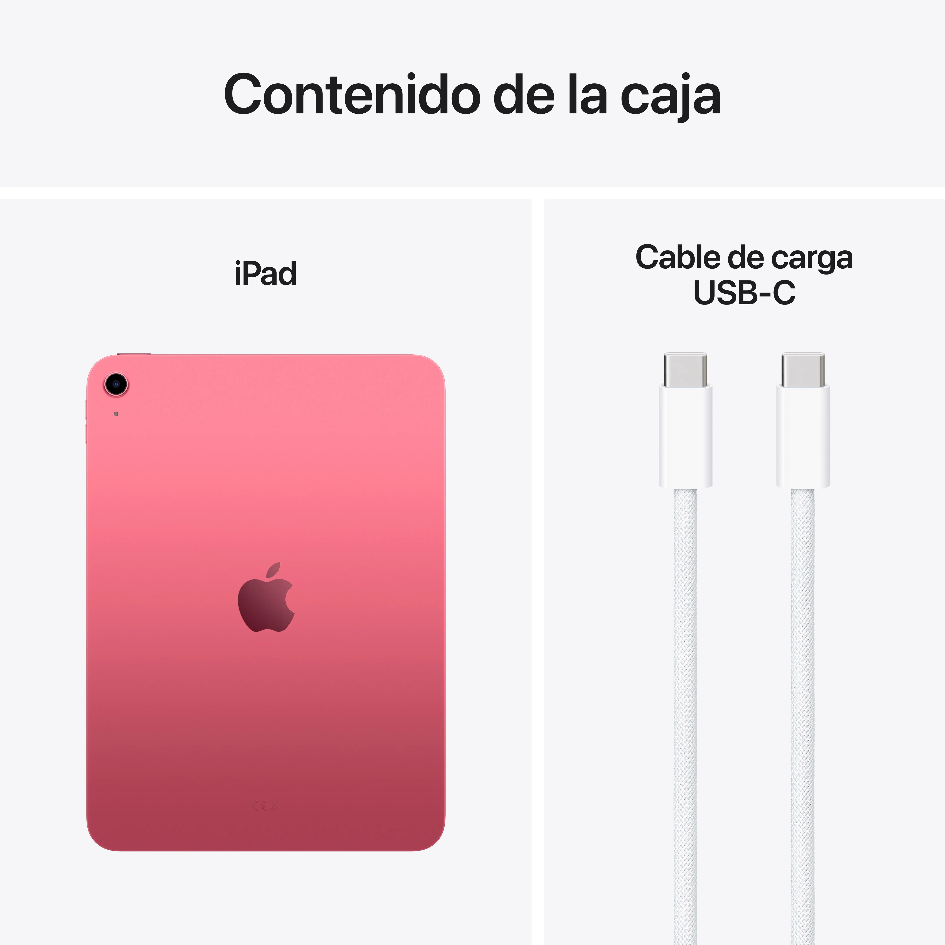 iPad Wi-Fi 256 GB - Rosa (A16) - Image 8