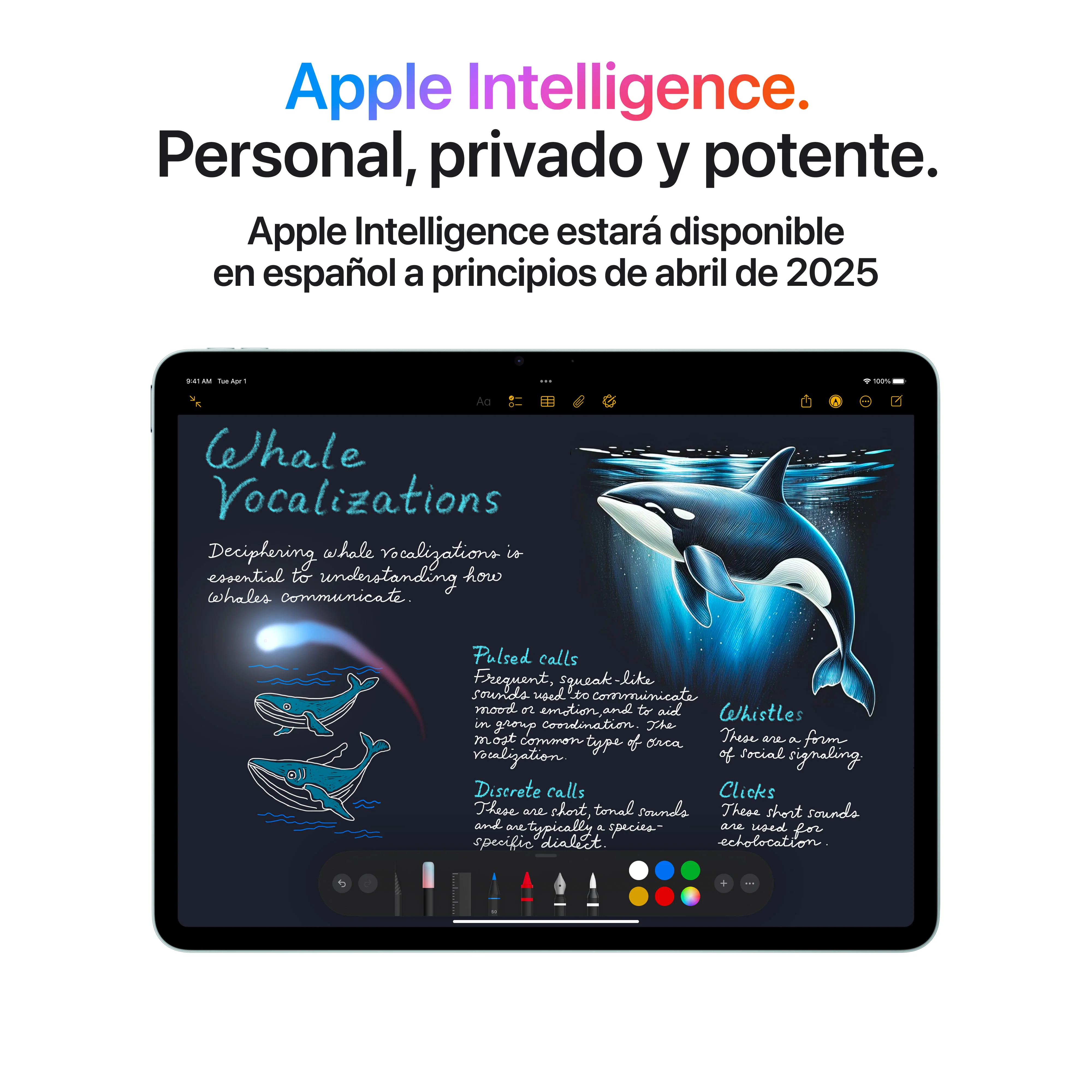iPad Air de 13 pulgadas Wi-Fi 128 GB - Gris espacial (M3) - Image 5