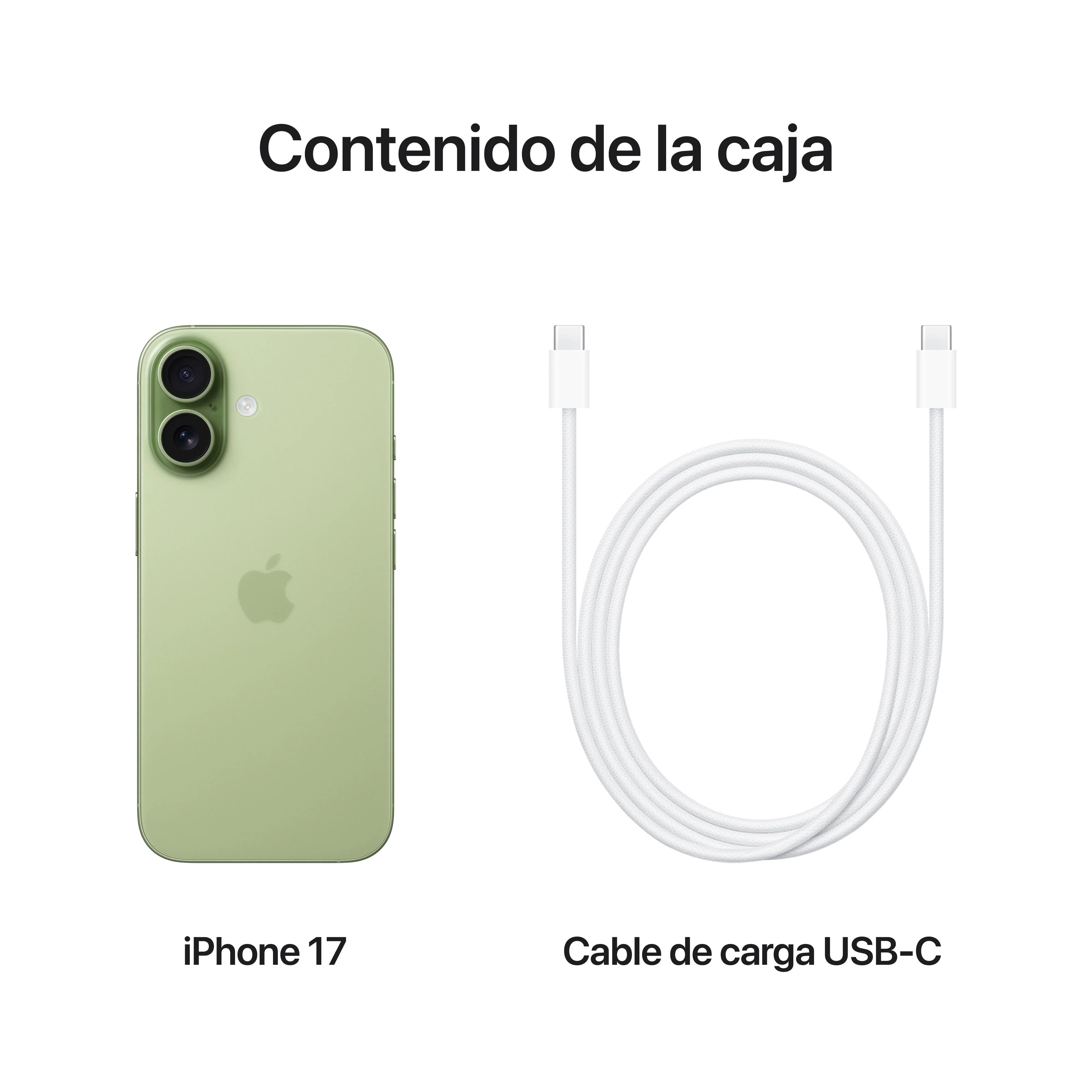 iPhone 17 256 GB Verde salvia - Image 8
